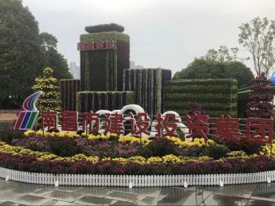 以菊为媒 以花为介 展示服务城市与发展之宗旨——市PG电子集团参展南昌市第三十四届菊花展