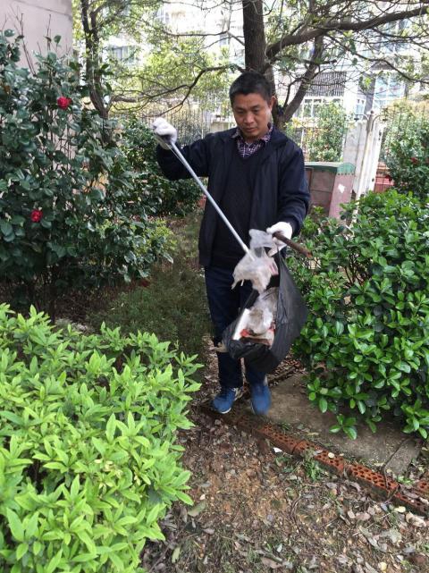 节造鼠害、预防疾病，构建和谐文化社区